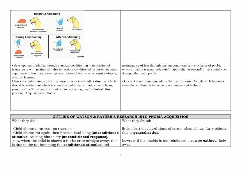 2023 EXAMINATION: PSYCHOPATHOLOGY -
THE BEHAVIOURAL APPROACH TO EXPLAINING PHOBIAS
The two-process model, including classical and operant co