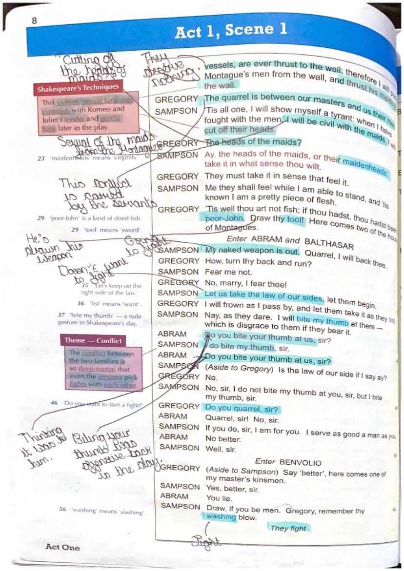 Act 1, Scene 1
The novator
Juxtaposition
of the play
The prologue gives the auellence a brief outline of the play. It explains
that there is