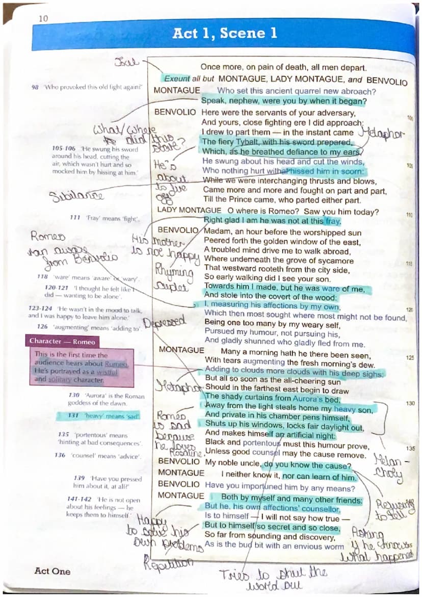 Act 1, Scene 1
The novator
Juxtaposition
of the play
The prologue gives the auellence a brief outline of the play. It explains
that there is