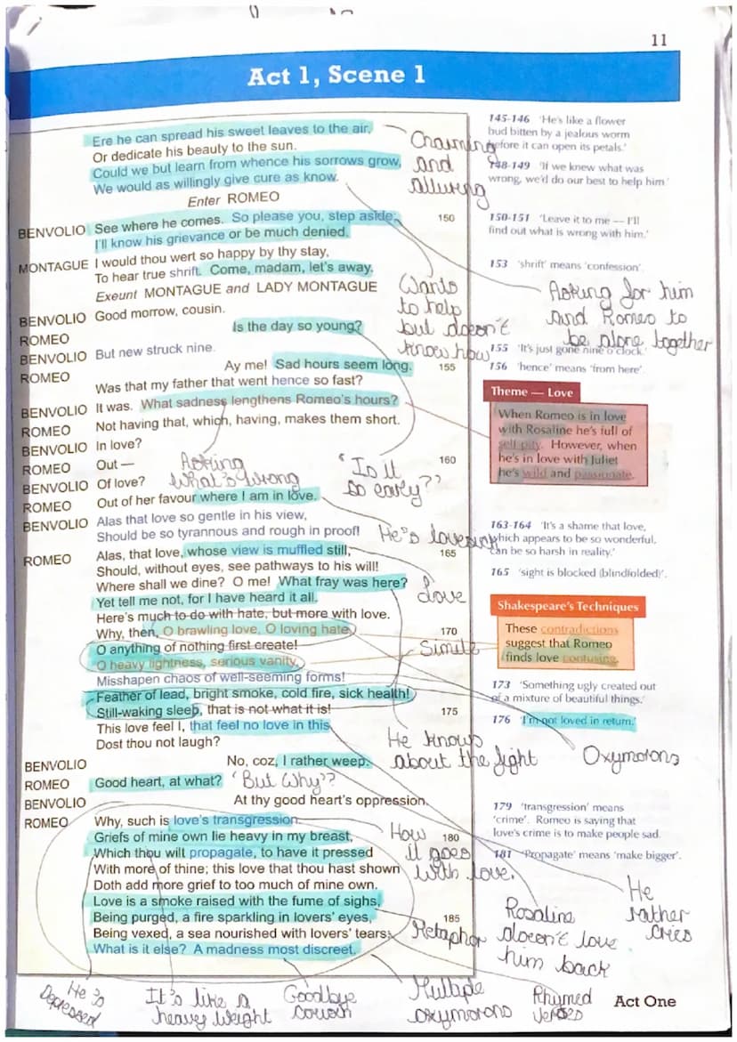 Act 1, Scene 1
The novator
Juxtaposition
of the play
The prologue gives the auellence a brief outline of the play. It explains
that there is
