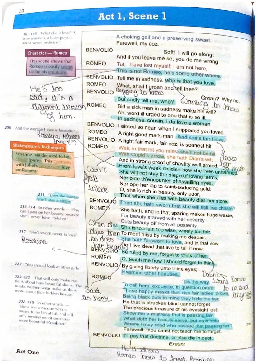 Act 1, Scene 1
The novator
Juxtaposition
of the play
The prologue gives the auellence a brief outline of the play. It explains
that there is