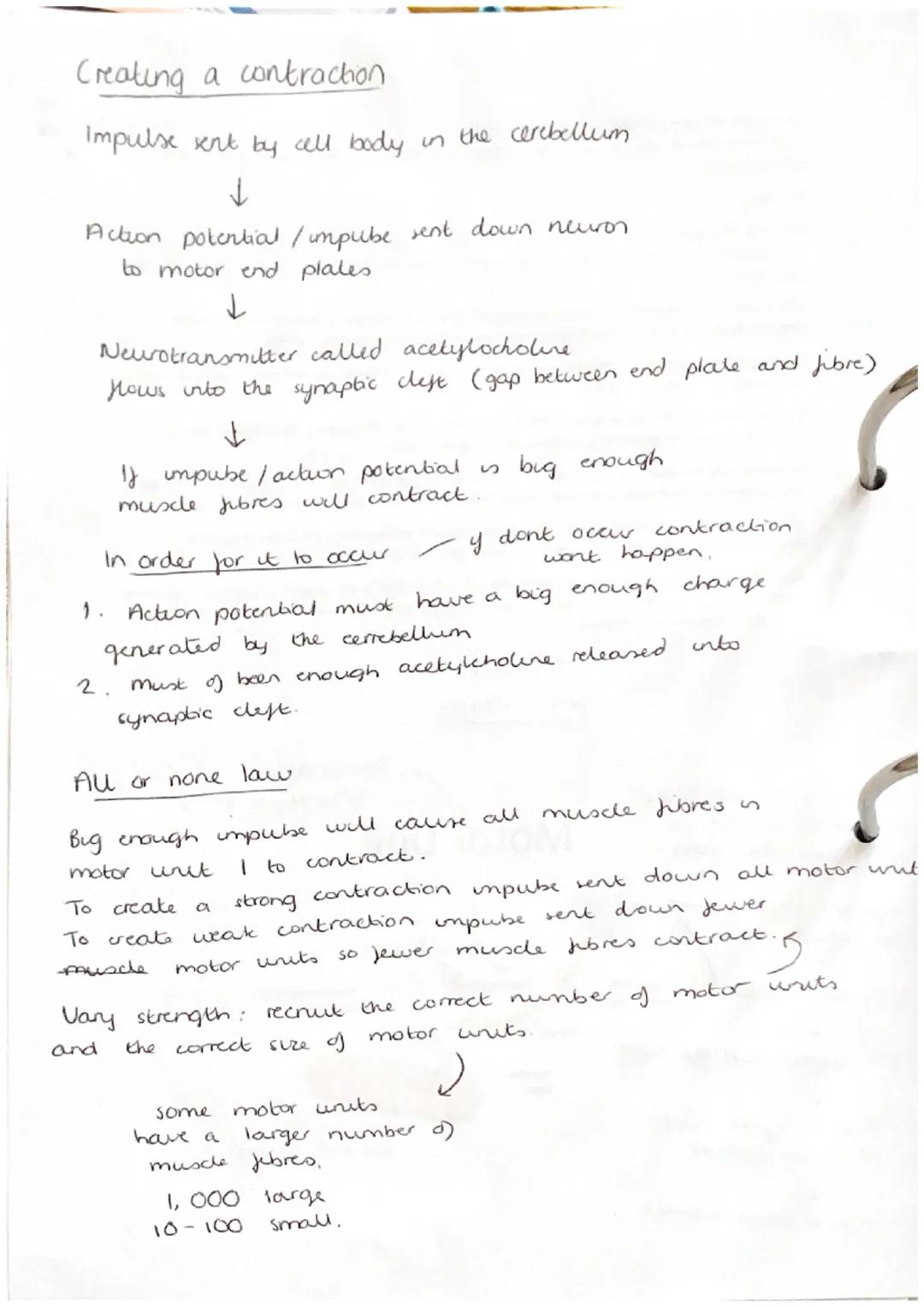 anterior
deltoid
(antenor)
pectoralis major
rectus
abdominis
abdominal
external oblique
wrist
Hixon
adductor
longus
rectus
fermons
vastus
la