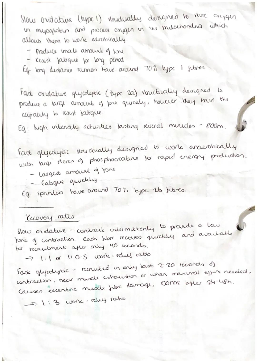 anterior
deltoid
(antenor)
pectoralis major
rectus
abdominis
abdominal
external oblique
wrist
Hixon
adductor
longus
rectus
fermons
vastus
la