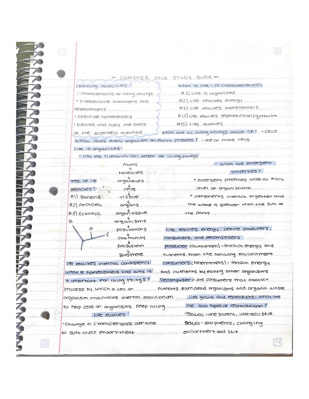 Chapter 6: How cells release energy
Aerobic cellular respiration - energy used from glucose is extracted and put
into ATP For cell energy.
w