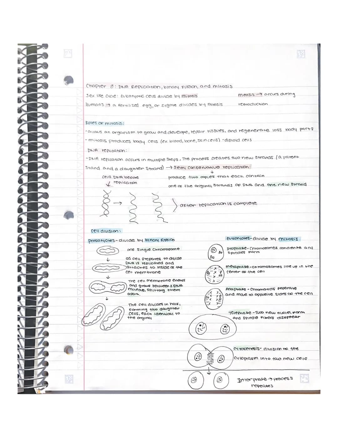 Chapter 6: How cells release energy
Aerobic cellular respiration - energy used from glucose is extracted and put
into ATP For cell energy.
w