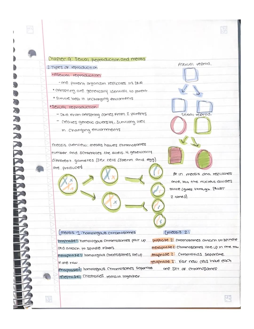 Chapter 6: How cells release energy
Aerobic cellular respiration - energy used from glucose is extracted and put
into ATP For cell energy.
w