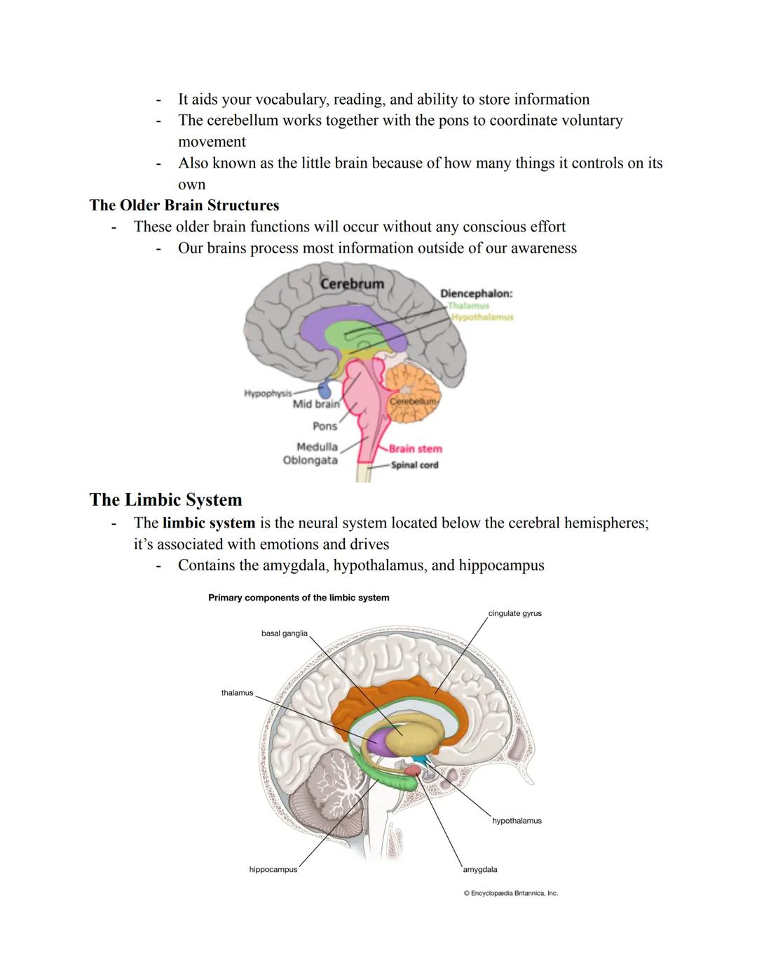 
<p>Cognition is the mental process involved with thinking, knowing, remembering, and communicating. Our brains filter information into conc