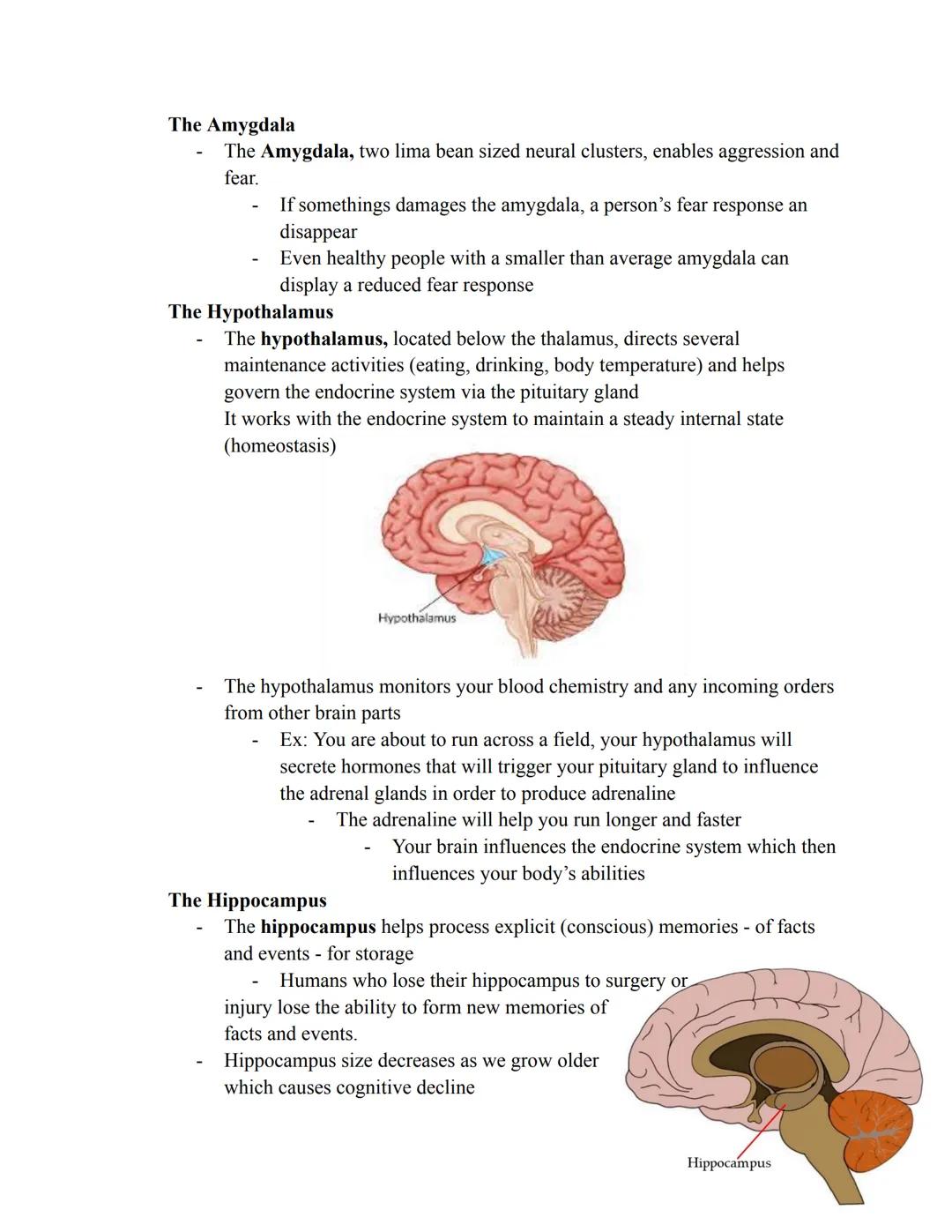 
<p>Cognition is the mental process involved with thinking, knowing, remembering, and communicating. Our brains filter information into conc