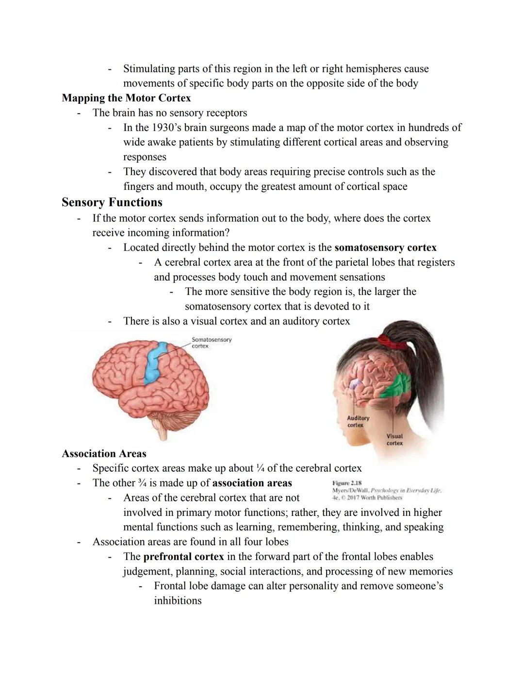 
<p>Cognition is the mental process involved with thinking, knowing, remembering, and communicating. Our brains filter information into conc