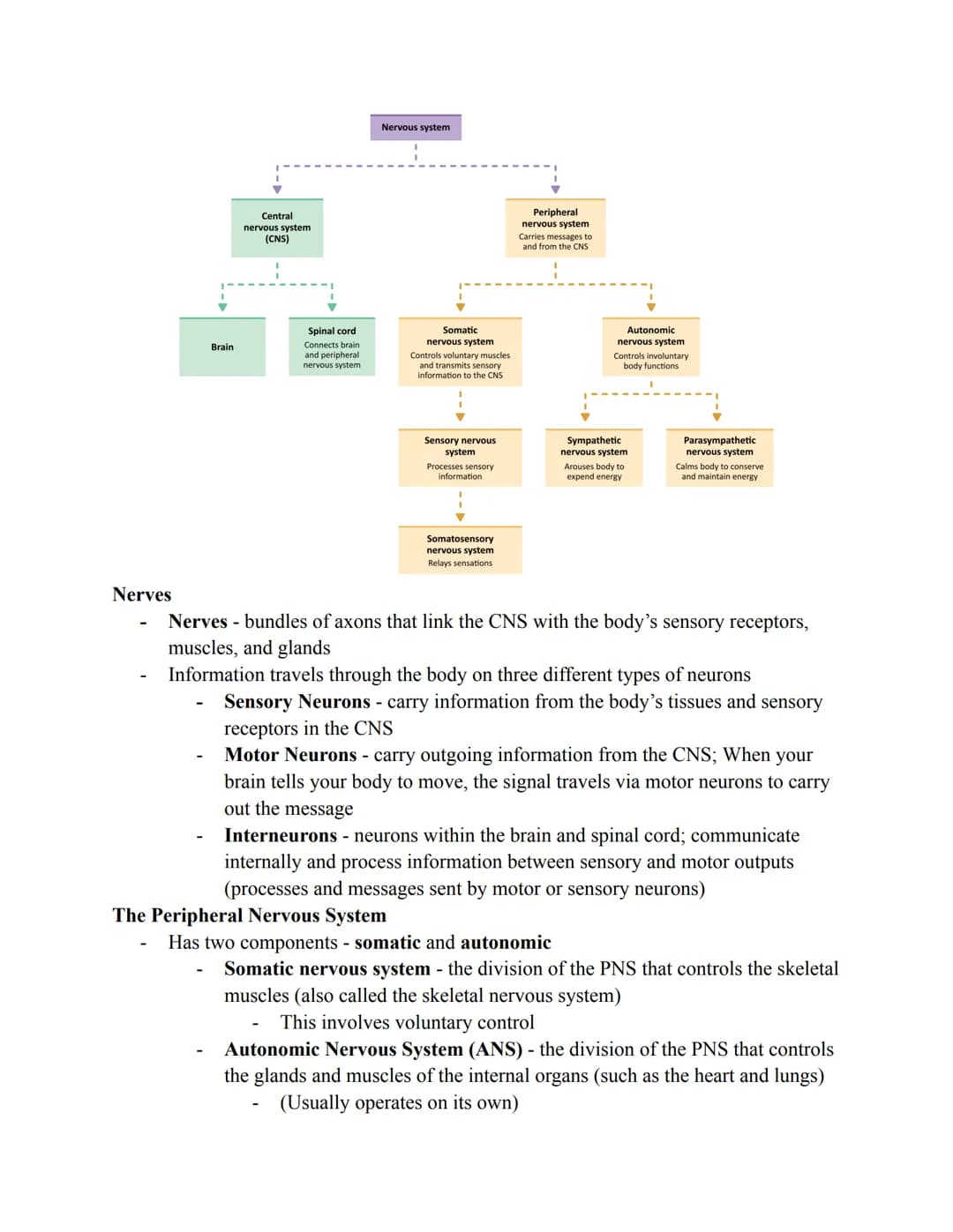 
<p>Cognition is the mental process involved with thinking, knowing, remembering, and communicating. Our brains filter information into conc