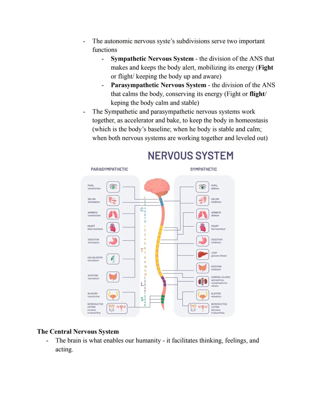 
<p>Cognition is the mental process involved with thinking, knowing, remembering, and communicating. Our brains filter information into conc