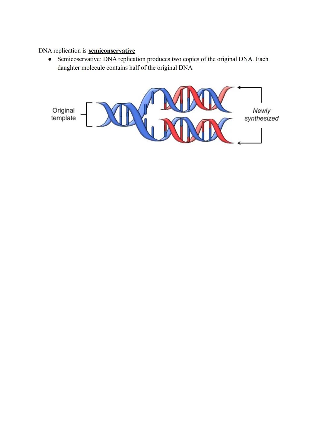 DNA Replication
DNA
Replicated DNA
RNA primers
●
Replication fork
Helicase
Leading strand
Okazaki fragments
HHHH
Okazaki fragments
*********