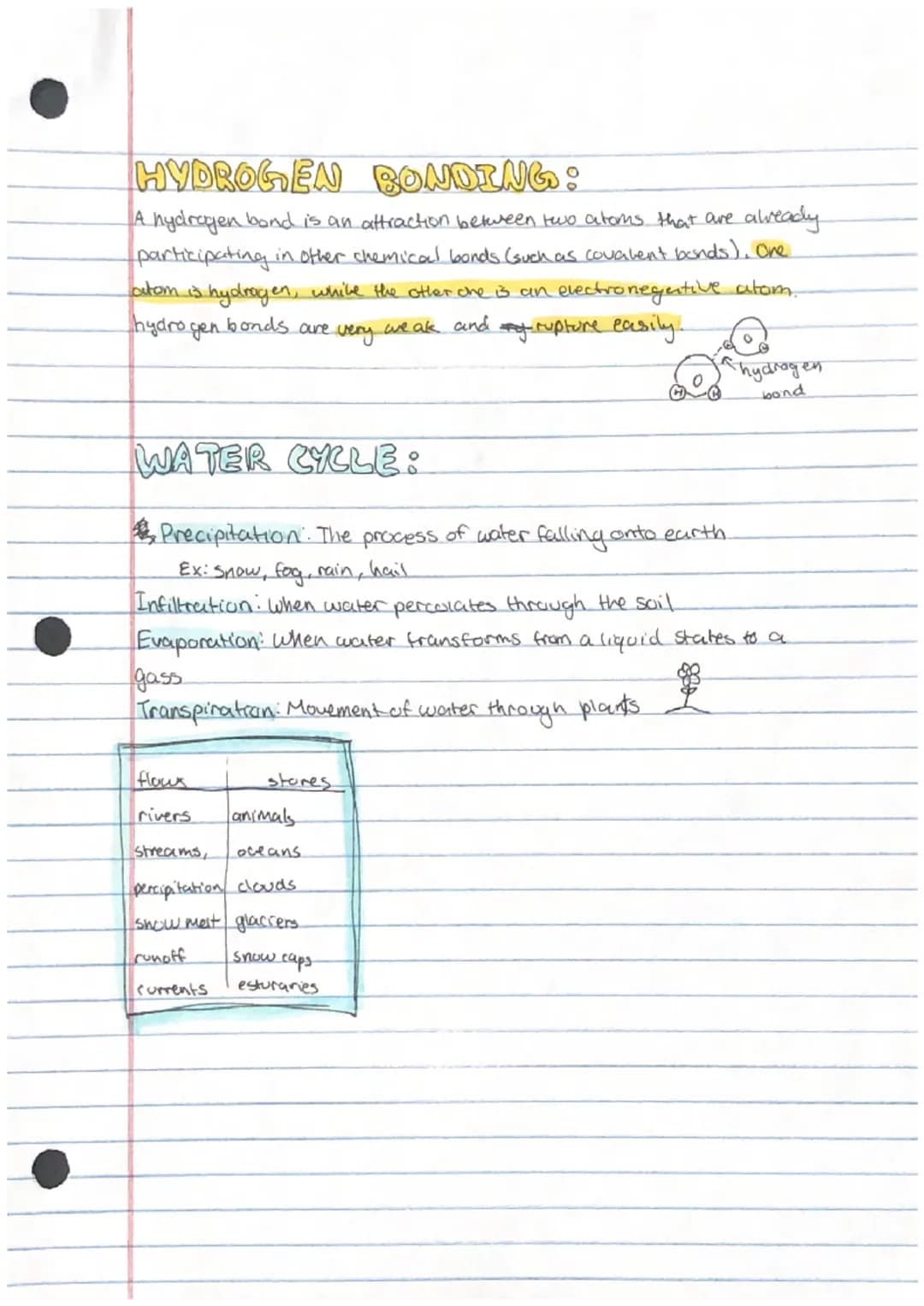 ل.
Sรา ว37Ow
CHEMISTRY & WATER
ARRANGEMENT OF SUBATOMIC PARTICLES:
IONS
Atoms are composed of three
main subatomic particles.
protons, neutr