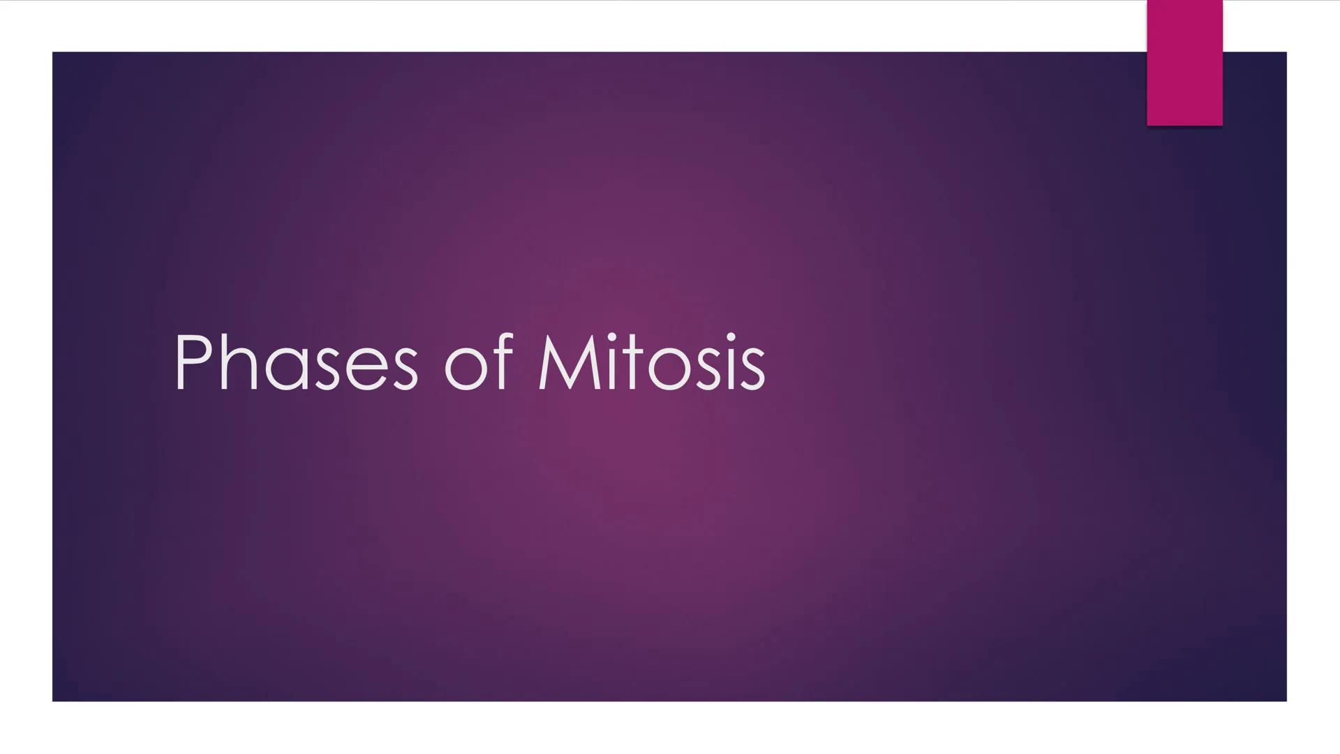 Phases of Mitosis The Cell Cycle
There are 6 phases of Cell Cycle
Interphase
► Prophase
▸ Metaphase
Anaphase
► Telophase
Cytokinesis
Mitosis