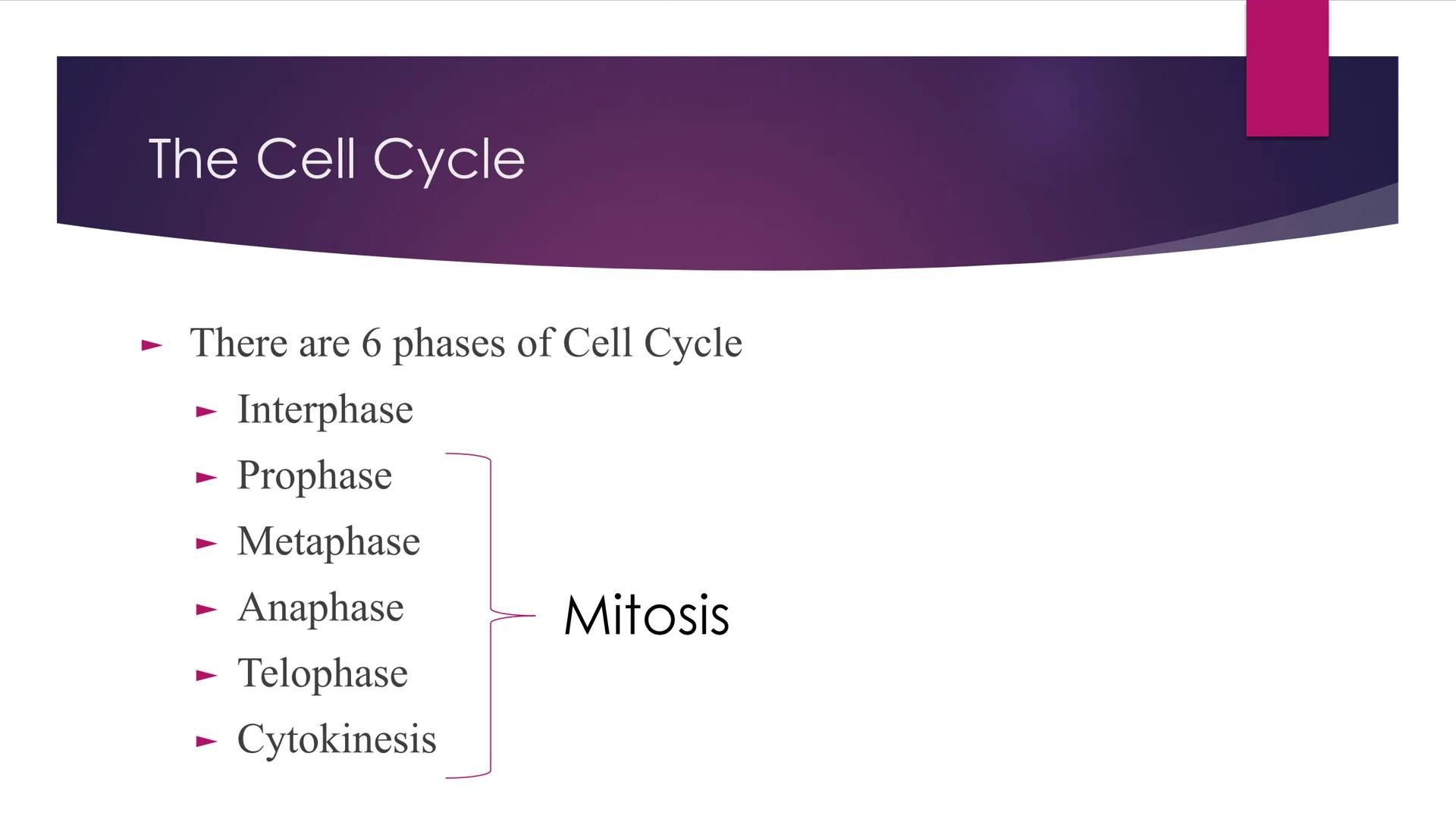 Phases of Mitosis The Cell Cycle
There are 6 phases of Cell Cycle
Interphase
► Prophase
▸ Metaphase
Anaphase
► Telophase
Cytokinesis
Mitosis