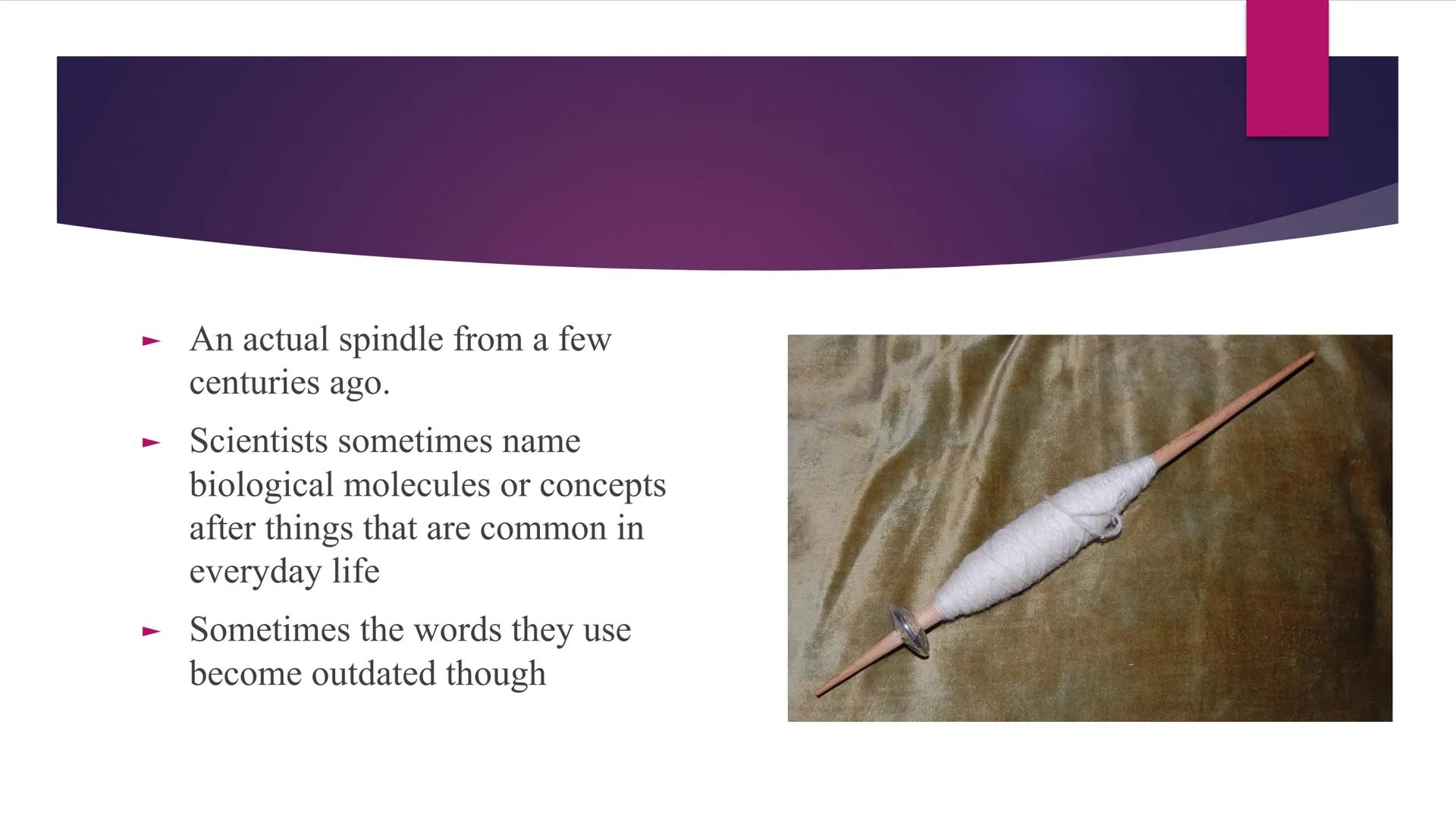 Phases of Mitosis The Cell Cycle
There are 6 phases of Cell Cycle
Interphase
► Prophase
▸ Metaphase
Anaphase
► Telophase
Cytokinesis
Mitosis