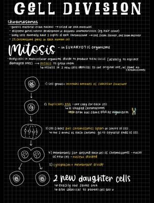 Know Mitosis (and binary fission) thumbnail