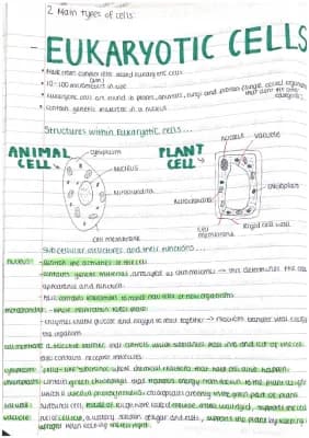 Know Eukaryotic and prokaryotic cells  thumbnail