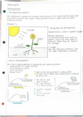 Know photosynthesis  thumbnail