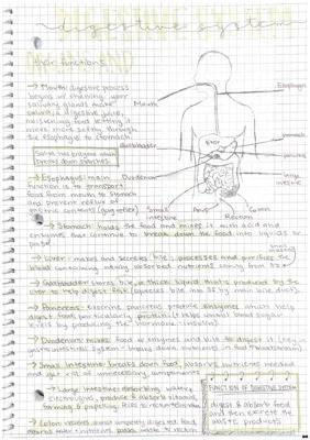 Know Functions and Components of Body Systems  thumbnail