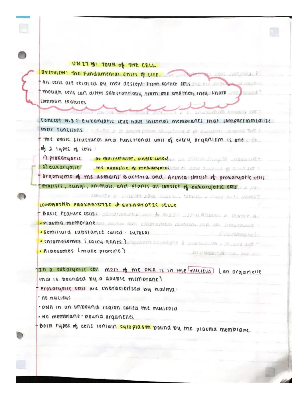 Unit 4: Tour of the Cell