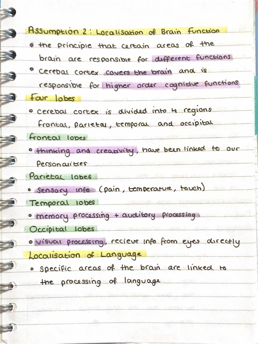 Biological Approach Assumptions
Assumption 1: Evolutionary influences
• theory of evolution has been used to explain
how the human mind and 