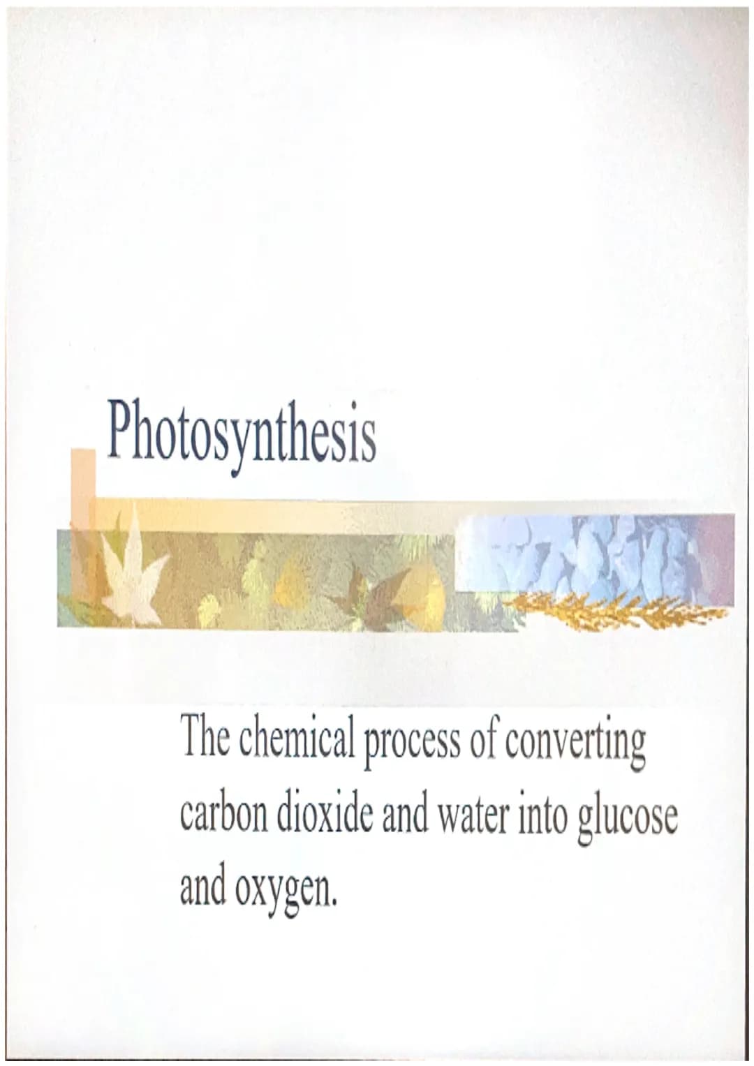 Photosynthesis
The chemical process of converting
carbon dioxide and water into glucose
and oxygen. THE CHEMICAL REACTION
6CO₂ + 6H₂O
- CHO 