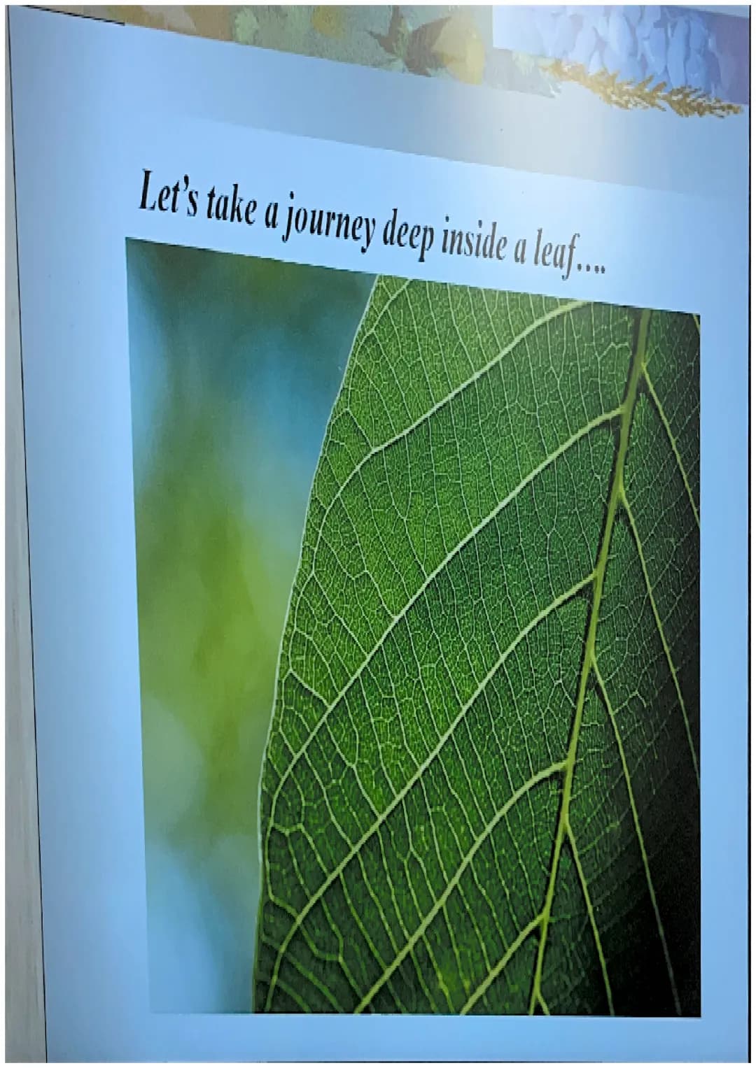 Photosynthesis
The chemical process of converting
carbon dioxide and water into glucose
and oxygen. THE CHEMICAL REACTION
6CO₂ + 6H₂O
- CHO 