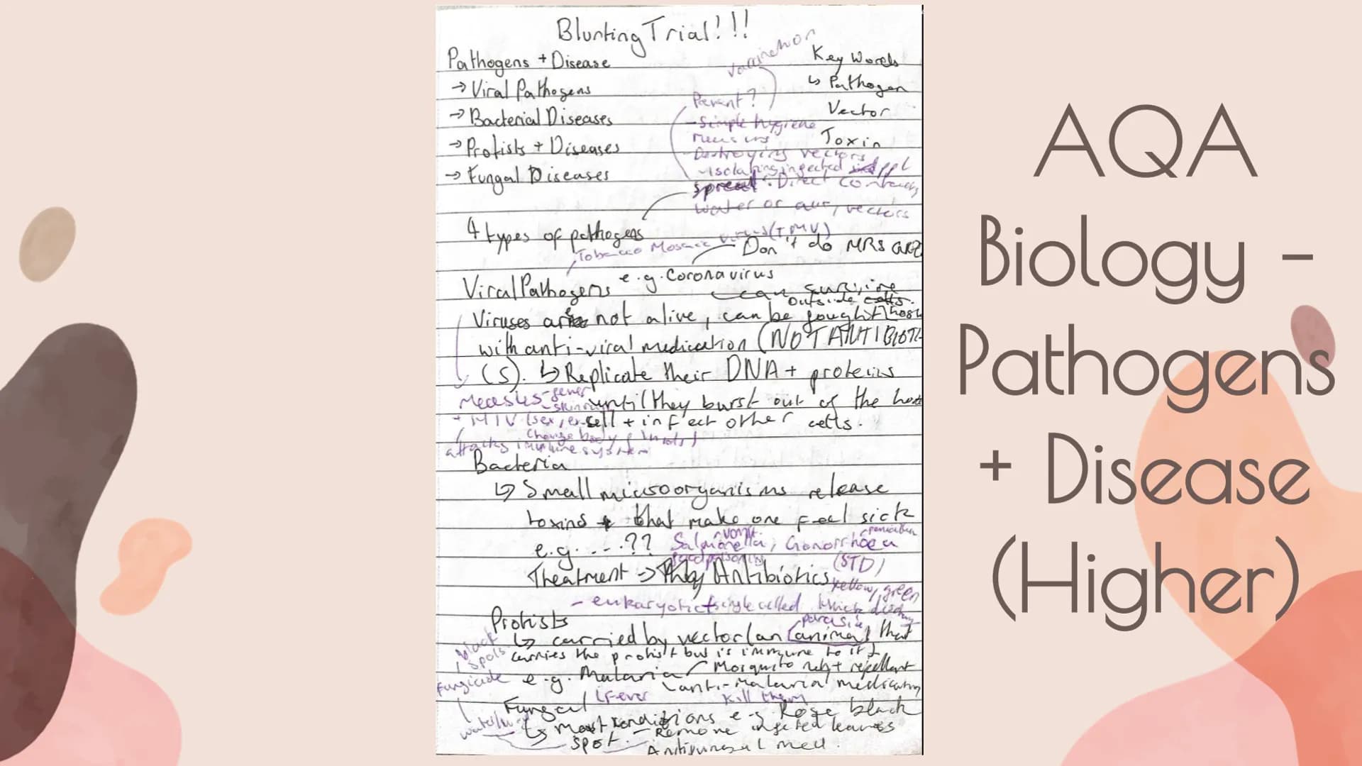 Blurting!
(Arguably) The BEST revision
method ever! There's a revision method called 'blurting'
that I really like. Essentially, you take a
