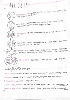 Know Understanding Mitosis: Cell Division Process and Regulation thumbnail