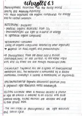 Know Chapter 6.3 AP Notes thumbnail