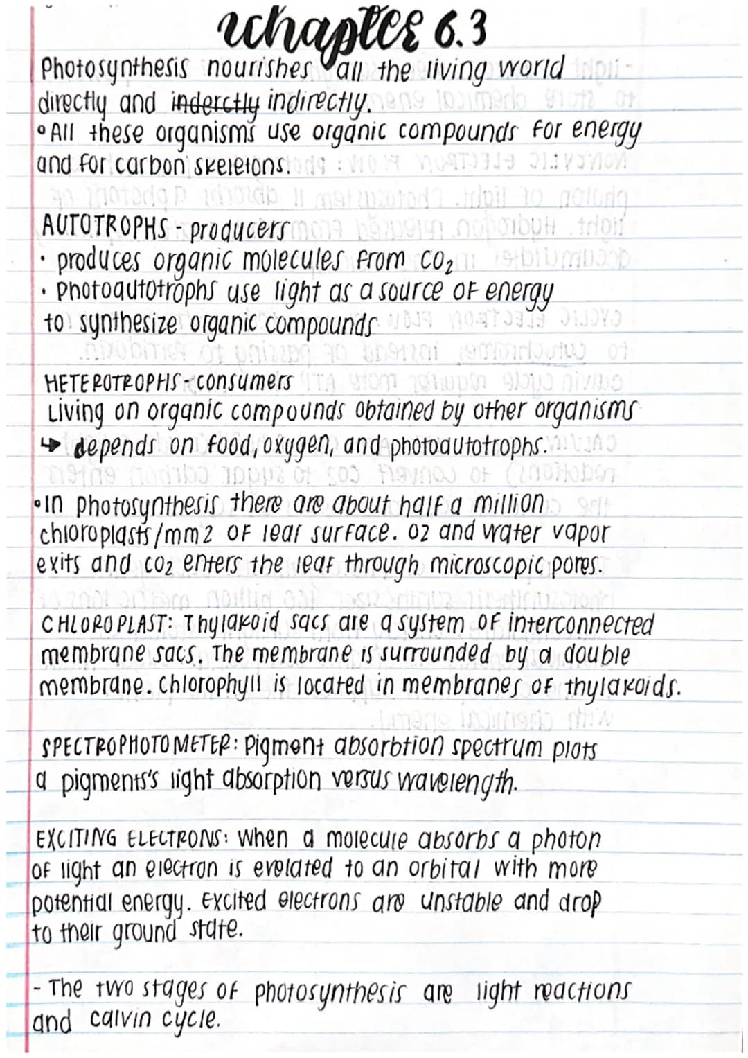 wchapter 6.3
Photosynthesis nourishes all the living world input-
directly and inderctly indirectly, eng toormerlo $1072 or
All these organi
