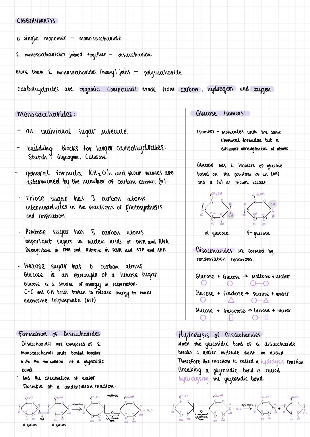 CARBOHYDRATES
a single monomer Mono saccharide
2 monosaccharides joined together - disaccharide
more than 2 monosaccharides (many) jouns
pol
