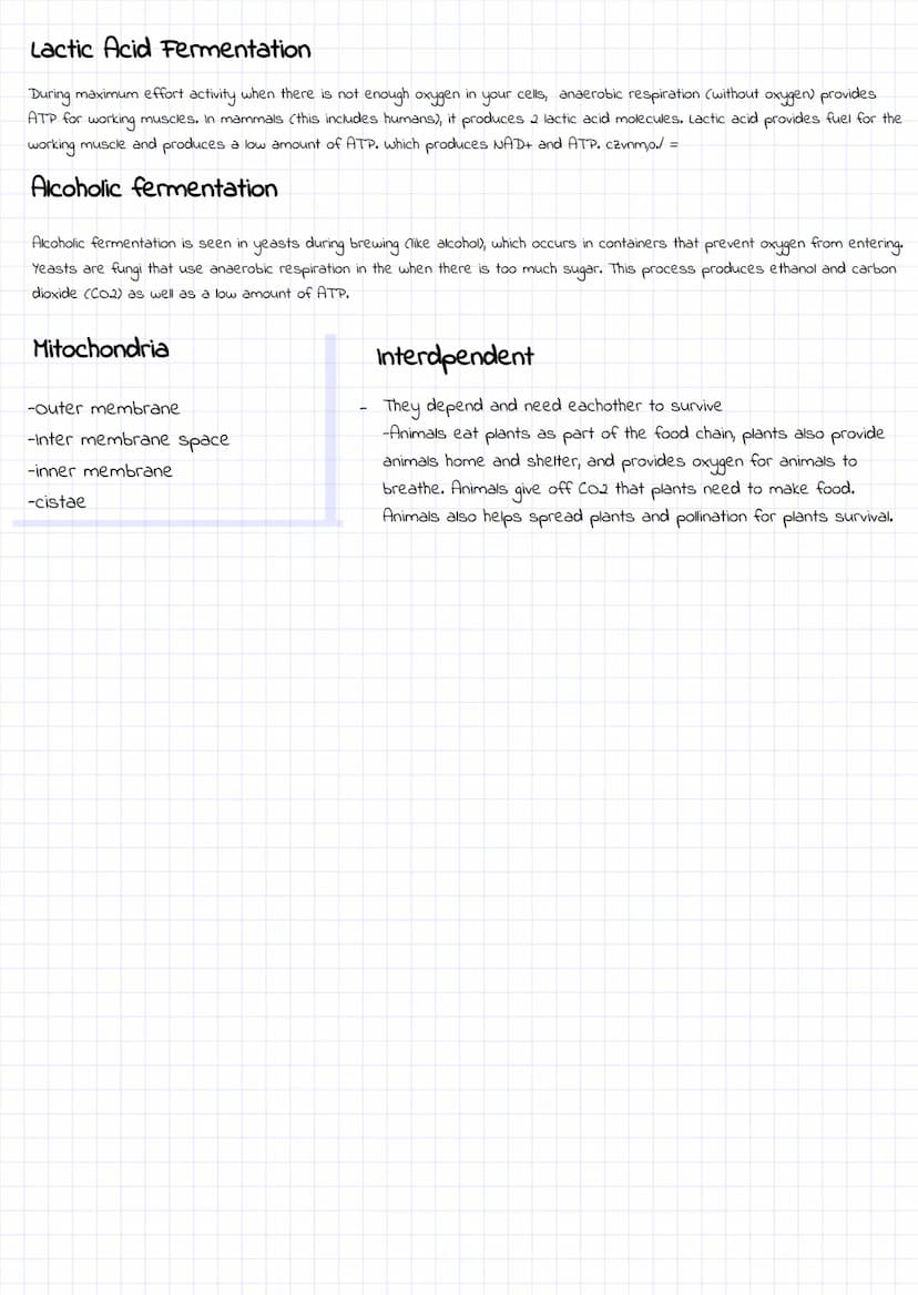 
<h2 id="photosynthesis">Photosynthesis</h2>
<p>In the process of photosynthesis, light energy is used to convert 6 molecules of carbon diox