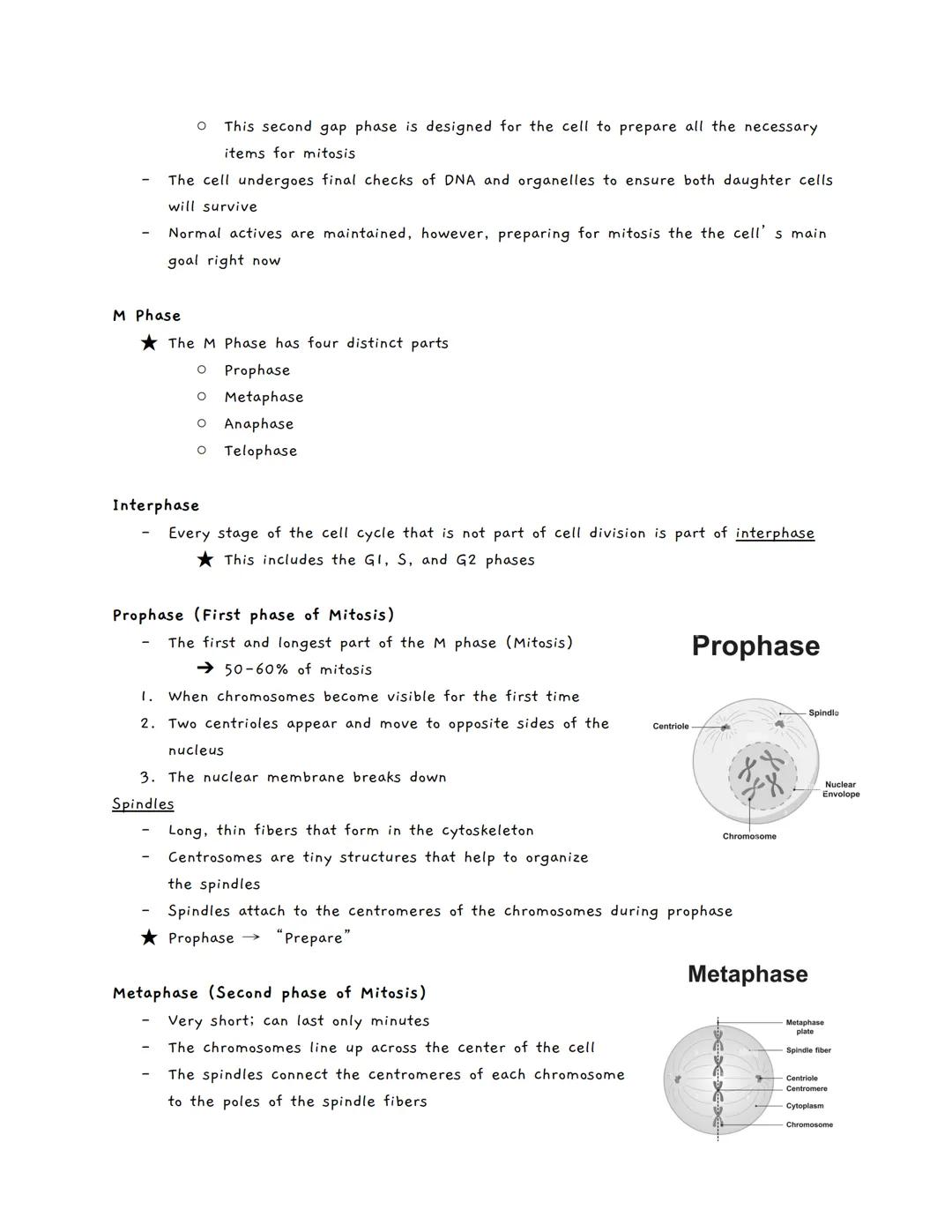 Mitosis
Cell Division
The ability to reproduce is a driving characteristic in all living organisms.
O If a group of organisms did not reprod
