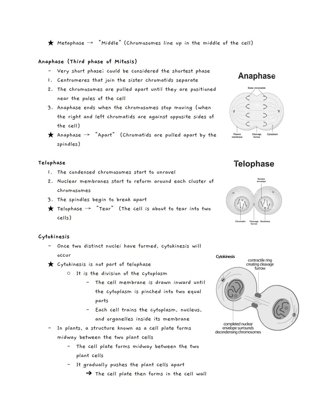 Mitosis
Cell Division
The ability to reproduce is a driving characteristic in all living organisms.
O If a group of organisms did not reprod