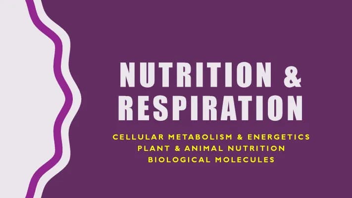 Know Nutrition and Respiration thumbnail