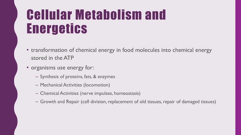 NUTRITION &
RESPIRATION
CELLULAR METABOLISM & ENERGETICS
PLANT & ANIMAL NUTRITION
BIOLOGICAL MOLECULES Cellular Metabolism and
Energetics
• 