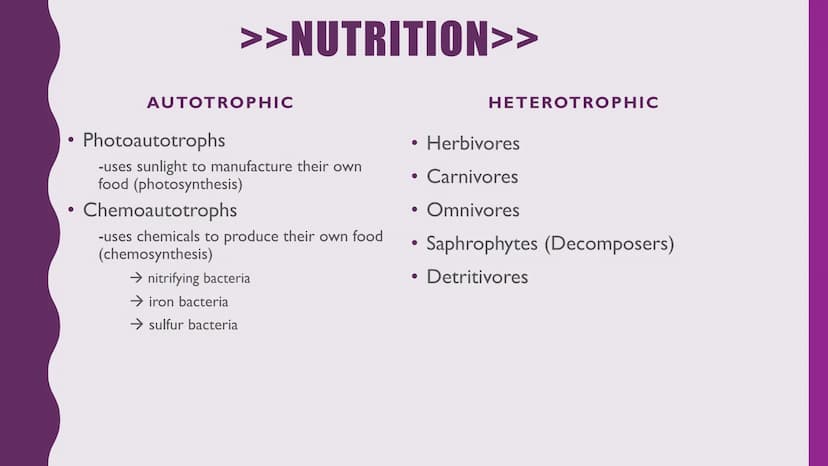 NUTRITION &
RESPIRATION
CELLULAR METABOLISM & ENERGETICS
PLANT & ANIMAL NUTRITION
BIOLOGICAL MOLECULES Cellular Metabolism and
Energetics
• 