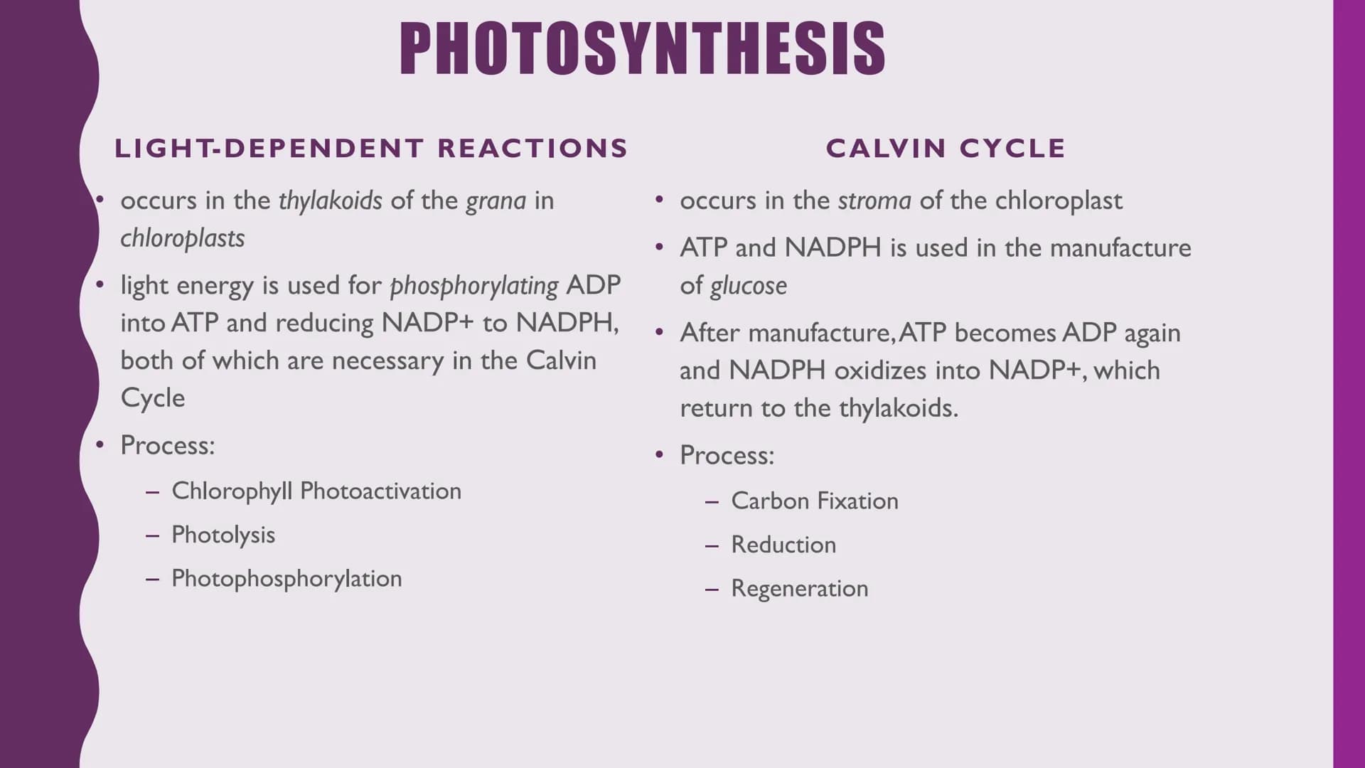 NUTRITION &
RESPIRATION
CELLULAR METABOLISM & ENERGETICS
PLANT & ANIMAL NUTRITION
BIOLOGICAL MOLECULES Cellular Metabolism and
Energetics
• 