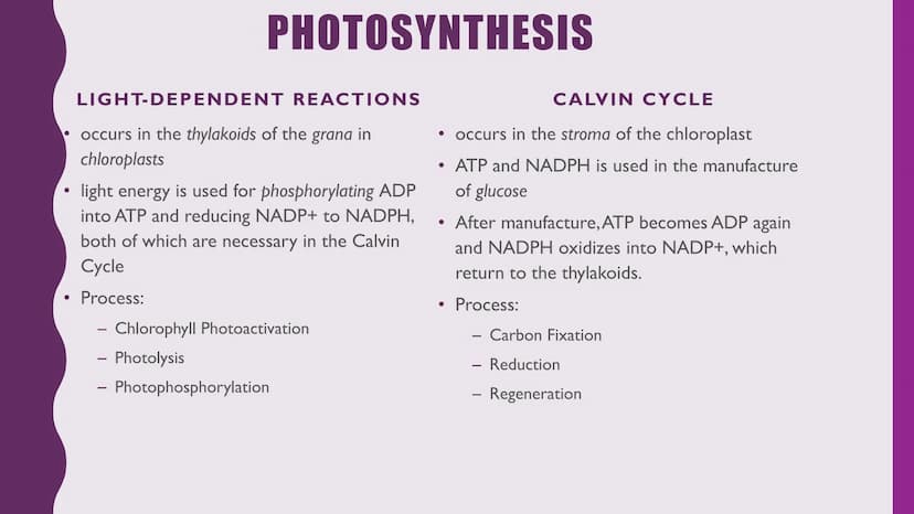 NUTRITION &
RESPIRATION
CELLULAR METABOLISM & ENERGETICS
PLANT & ANIMAL NUTRITION
BIOLOGICAL MOLECULES Cellular Metabolism and
Energetics
• 