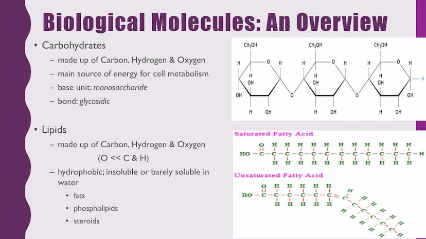 NUTRITION &
RESPIRATION
CELLULAR METABOLISM & ENERGETICS
PLANT & ANIMAL NUTRITION
BIOLOGICAL MOLECULES Cellular Metabolism and
Energetics
• 