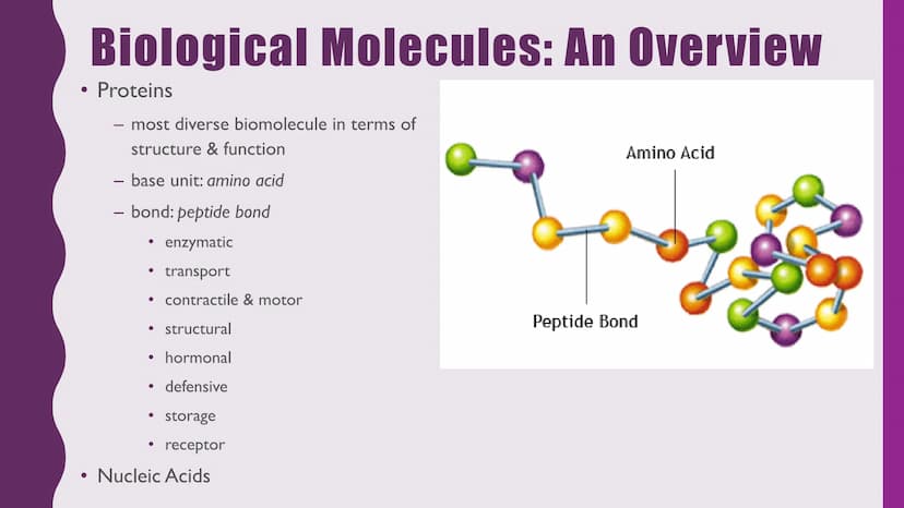 NUTRITION &
RESPIRATION
CELLULAR METABOLISM & ENERGETICS
PLANT & ANIMAL NUTRITION
BIOLOGICAL MOLECULES Cellular Metabolism and
Energetics
• 