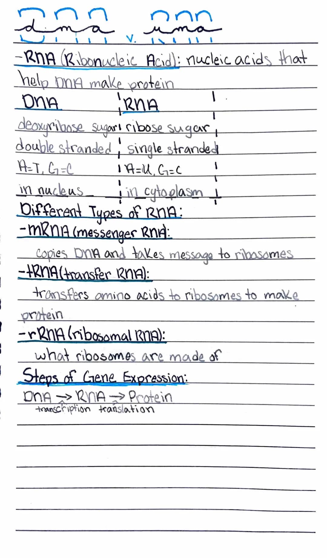 Centies of life
1. Organization
living things contain specialized coordinated.
parts
HOND
Unicellular
consisting of a single cell
*Multicell