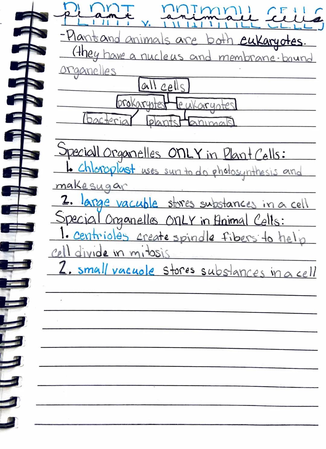 Centies of life
1. Organization
living things contain specialized coordinated.
parts
HOND
Unicellular
consisting of a single cell
*Multicell