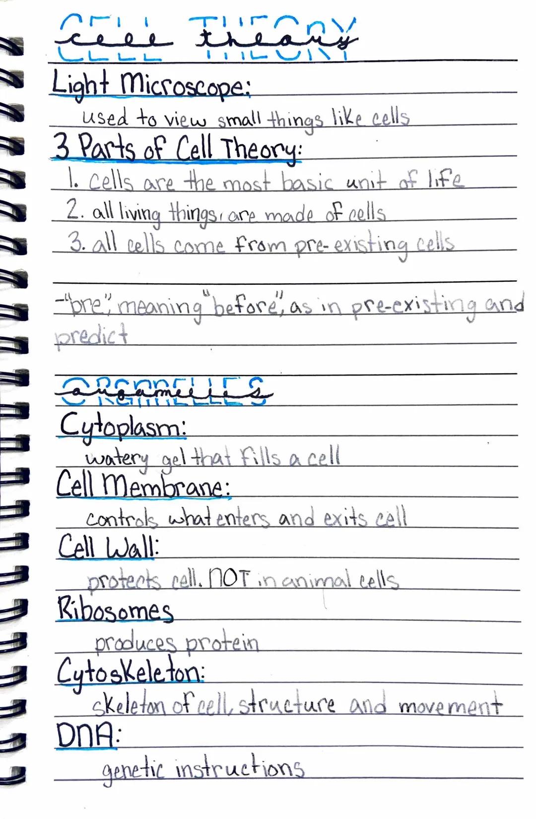 Centies of life
1. Organization
living things contain specialized coordinated.
parts
HOND
Unicellular
consisting of a single cell
*Multicell