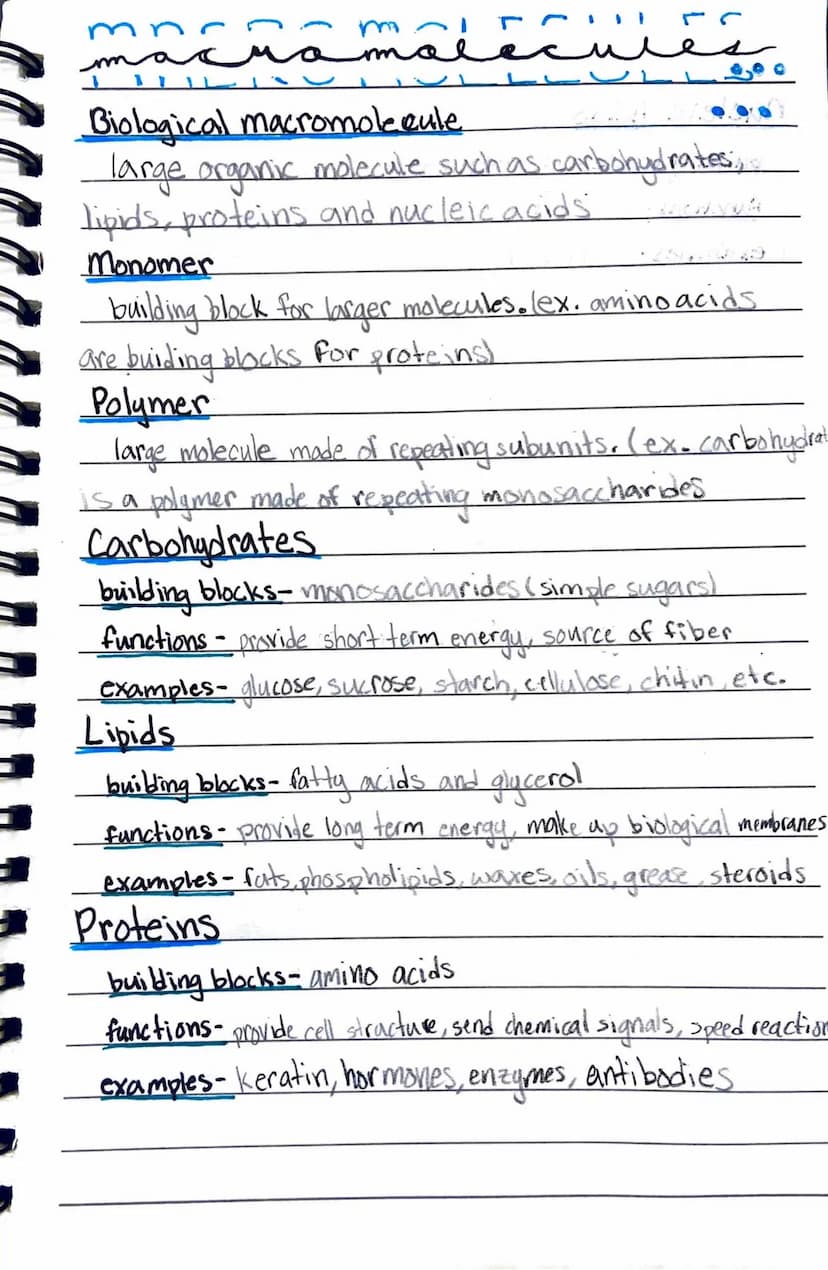 Centies of life
1. Organization
living things contain specialized coordinated.
parts
HOND
Unicellular
consisting of a single cell
*Multicell