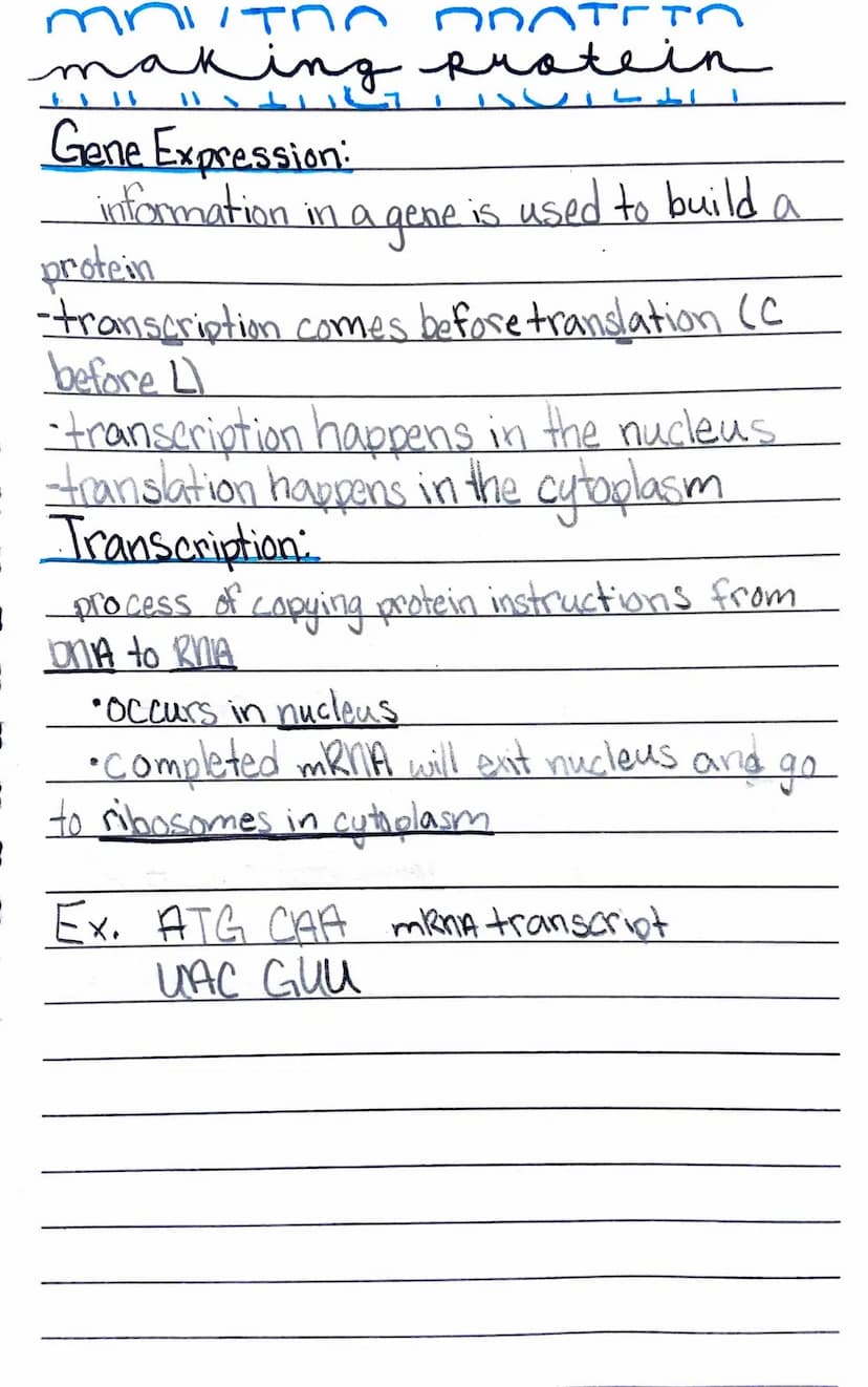 Centies of life
1. Organization
living things contain specialized coordinated.
parts
HOND
Unicellular
consisting of a single cell
*Multicell