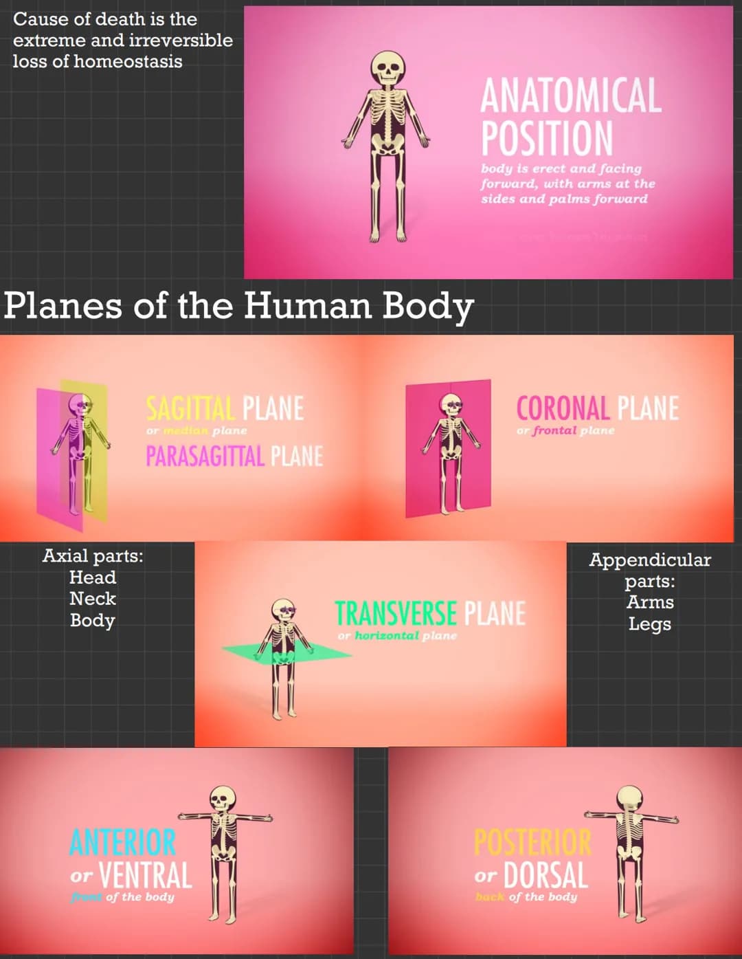 Anatomy: study of the structure and relationships
between body parts.
Physiology: science of how those parts come
together to function and k