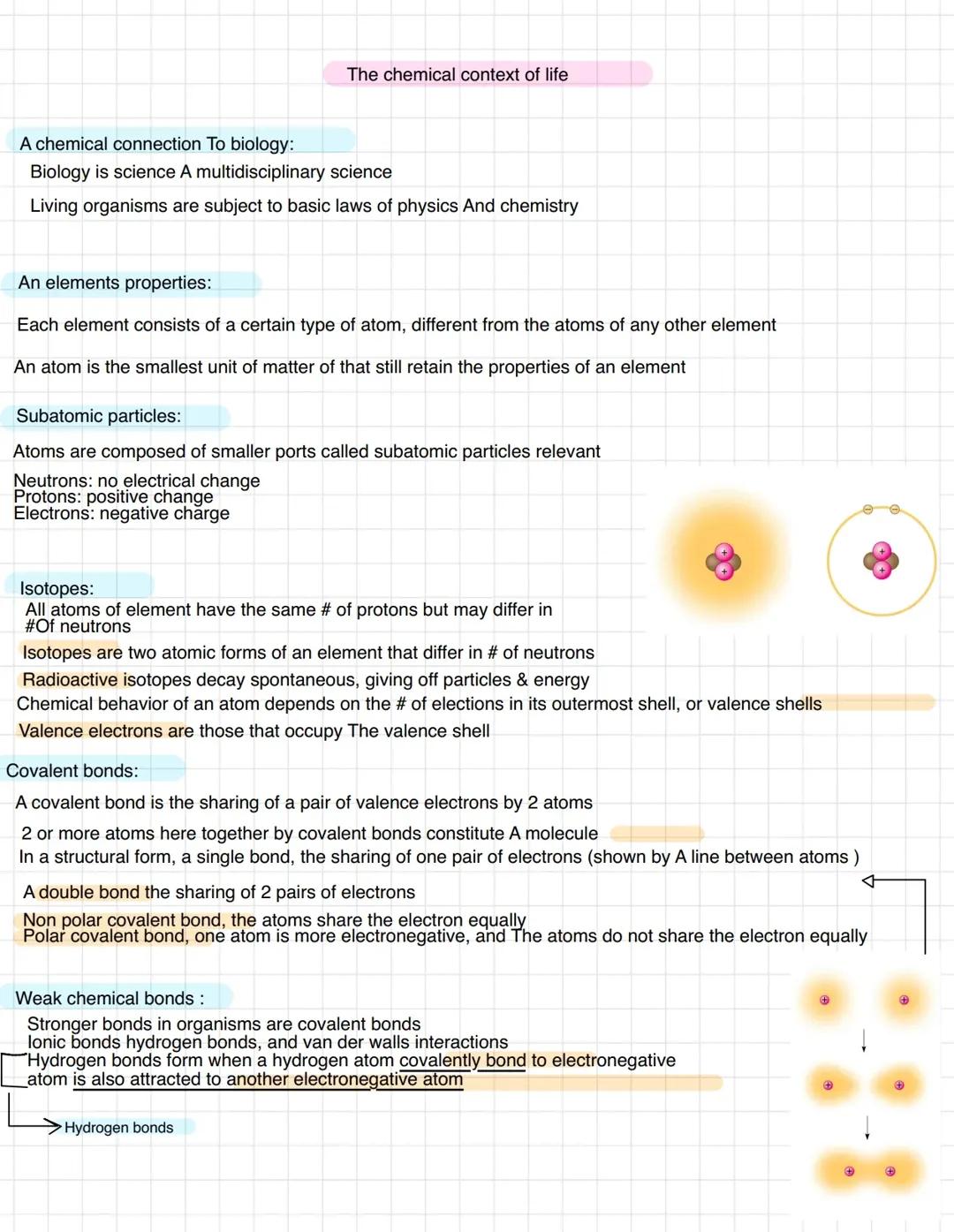 UNIT 1 - chemical context of life 
